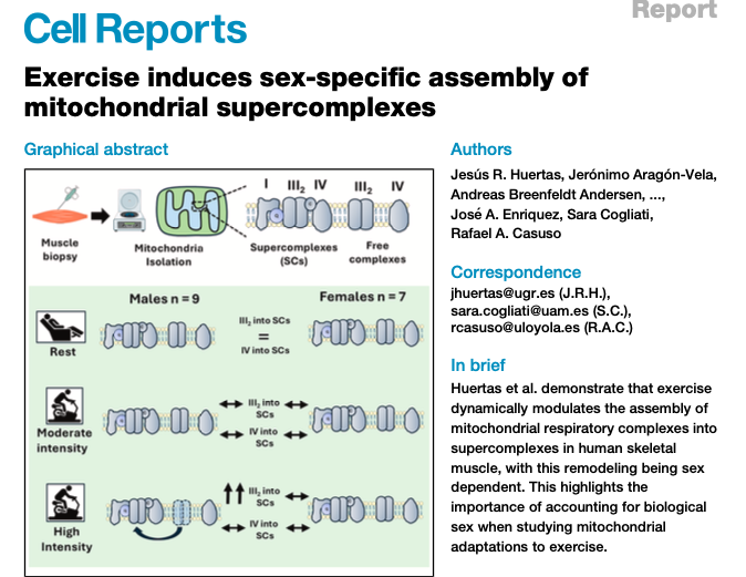 David Gómez tweet media