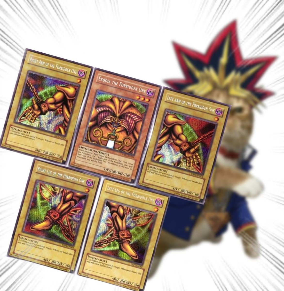 Throwing Things Daily tweet media