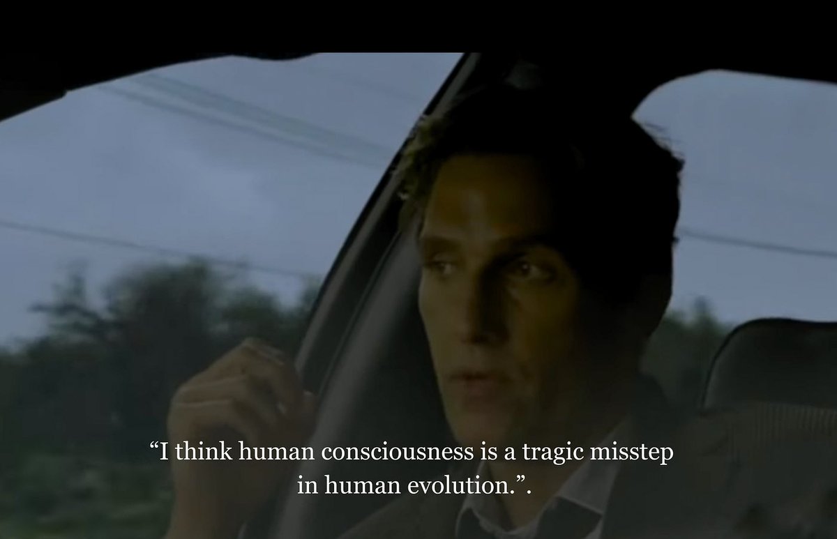 Virtual Perfection Cowboy tweet media