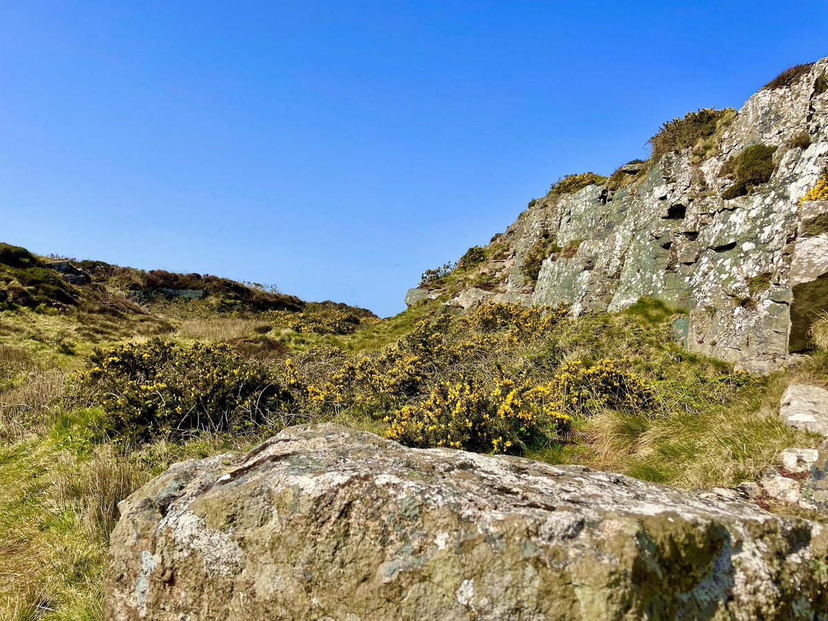 STEPHAN MATTHEWS (aka Stephen McCarthy) tweet media