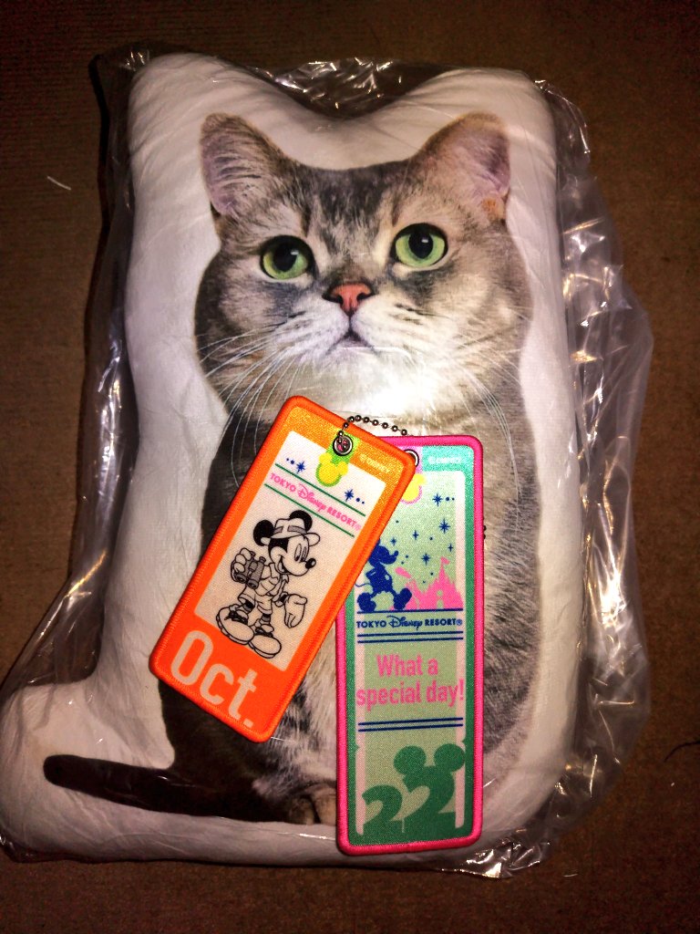 Ak01Km13's tweet photo. ディズニーで記念日が作れるワッペンアクセサリーが販売されたので、推しの誕生日で買って来ました🥰
ホコリ避けの為まだビニールココっちゃんでごめんなさい💦 https://t.co/cPoo8lBz3h