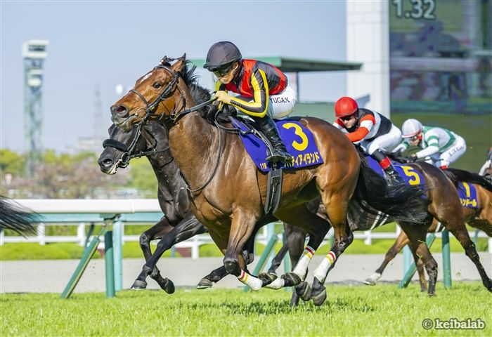 競馬ラボ tweet media