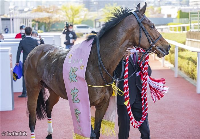 競馬ラボ tweet media