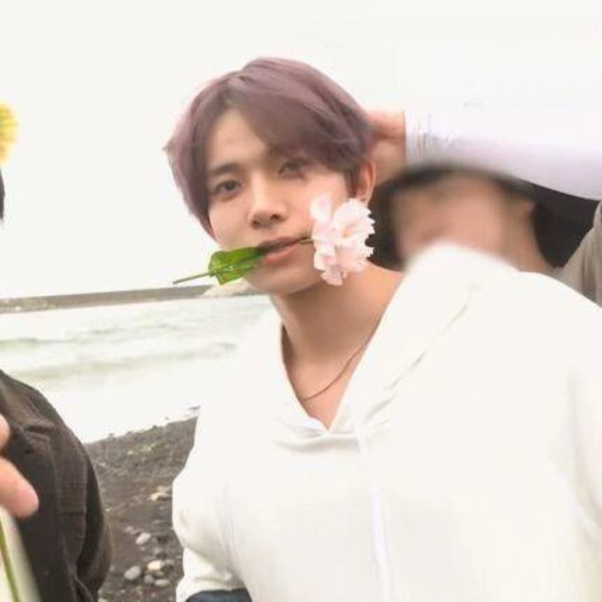 heeseungplscomeback tweet media