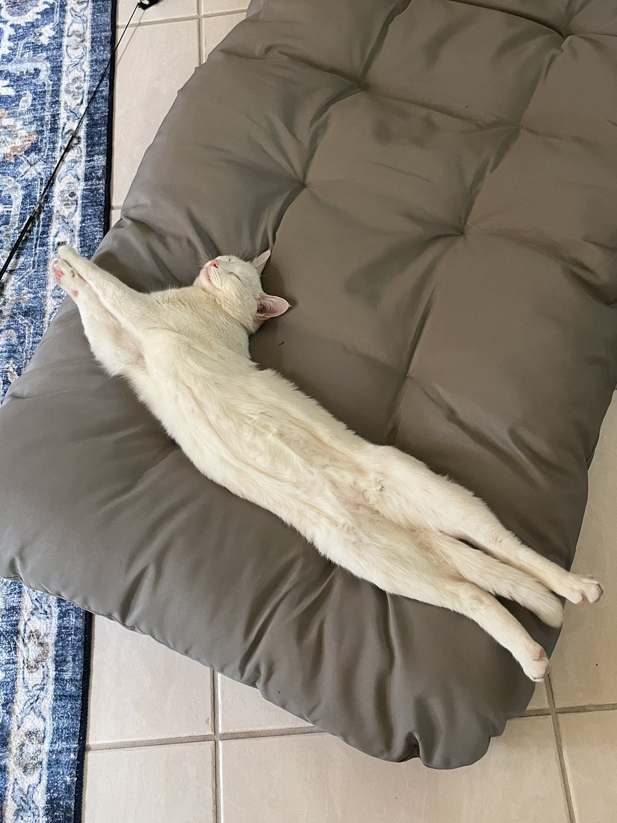 GregoryYguitar's tweet image. Looooooooong baby #WallyWednesday