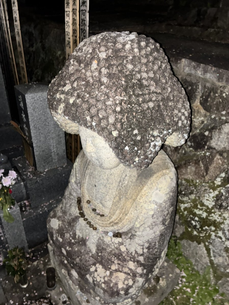 ストライプ tweet media