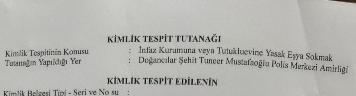 nevzat the lion heart tweet media