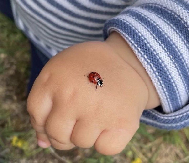 NO BAD LUCK IN APRIL.
NO BAD LUCK IN APRIL.
NO BAD LUCK IN APRIL.
NO BAD LUCK IN APRIL.
NO BAD LUCK IN APRIL.

AFFIRM "YES"