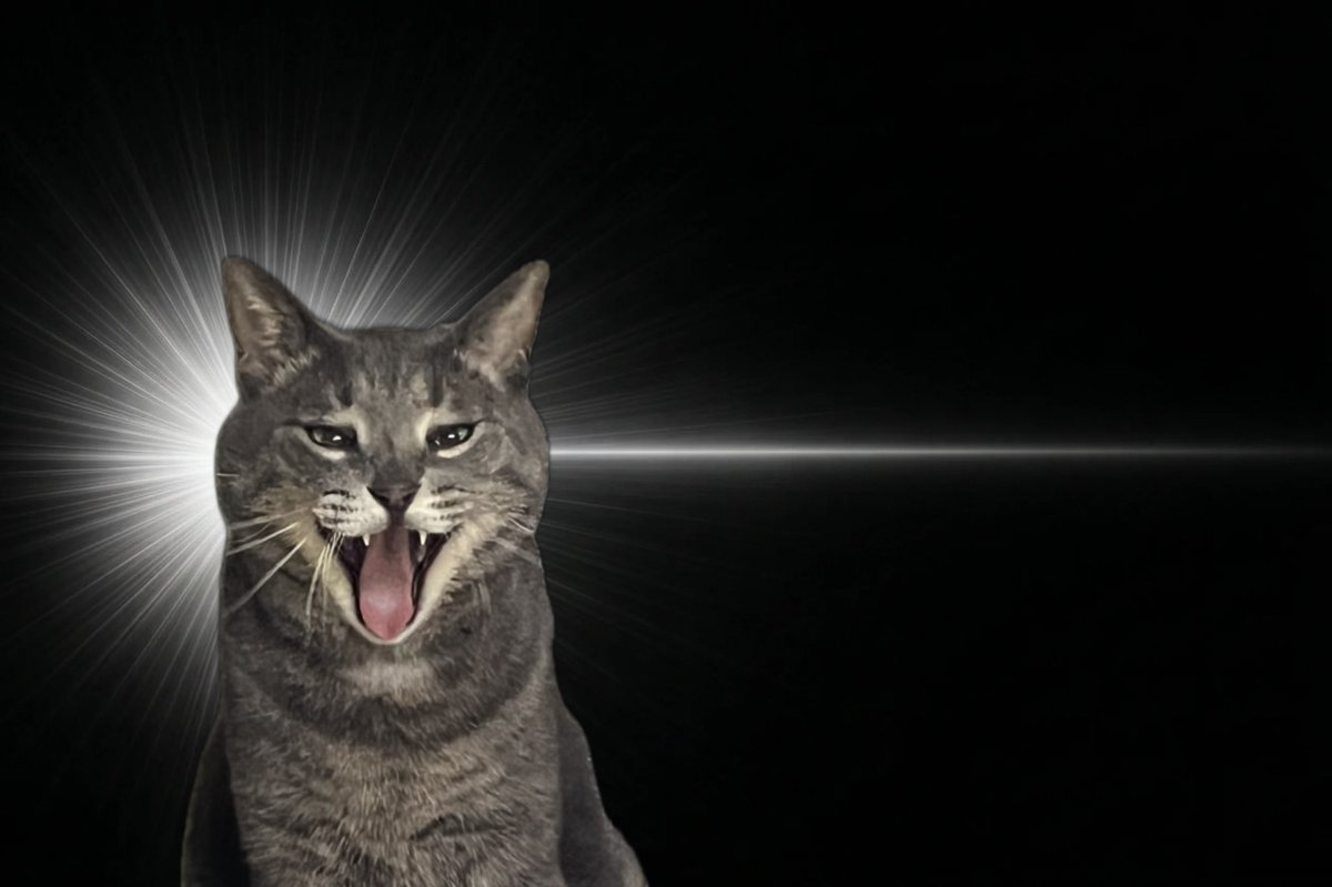 まにゃ*低浮上 tweet media