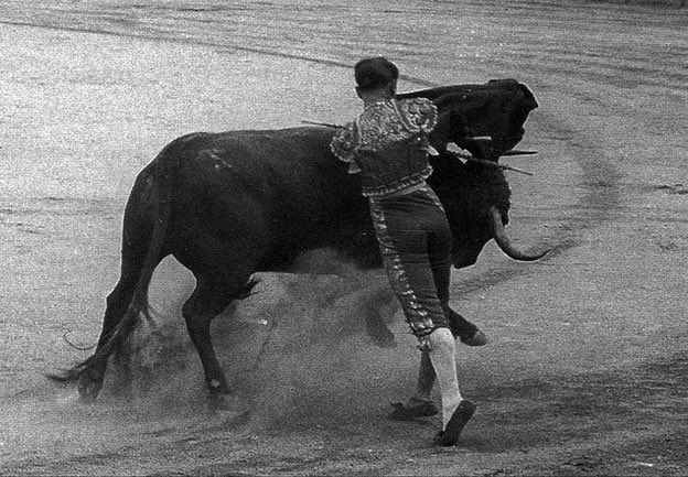 GLORIA ETERNA JUAN BELMONTE.

Transformador del Toreo.