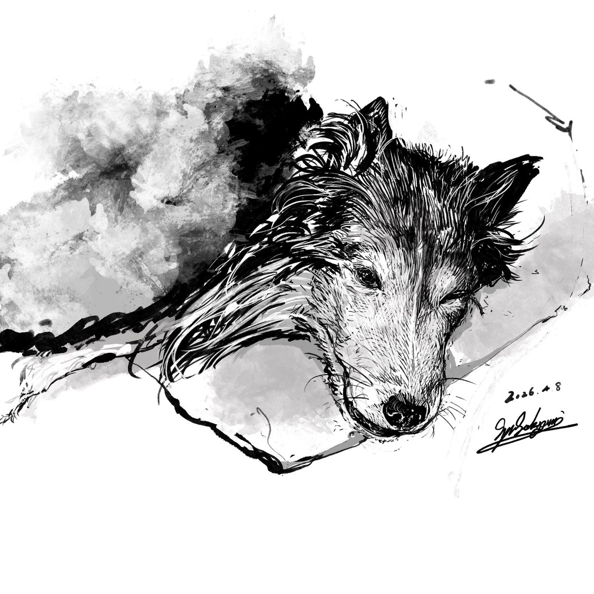 坂上シュウ Syu Sakagami 絵仕事募集中 tweet media