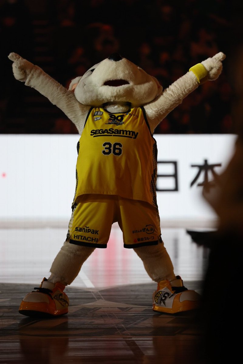 東京湾岸アンカナーレ tweet media