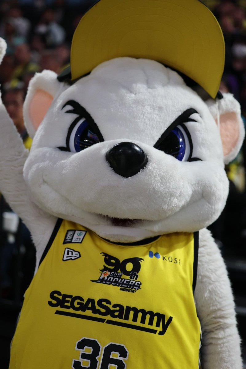 東京湾岸アンカナーレ tweet media