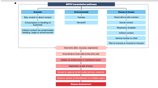 Alí Sebastian Meza tweet media
