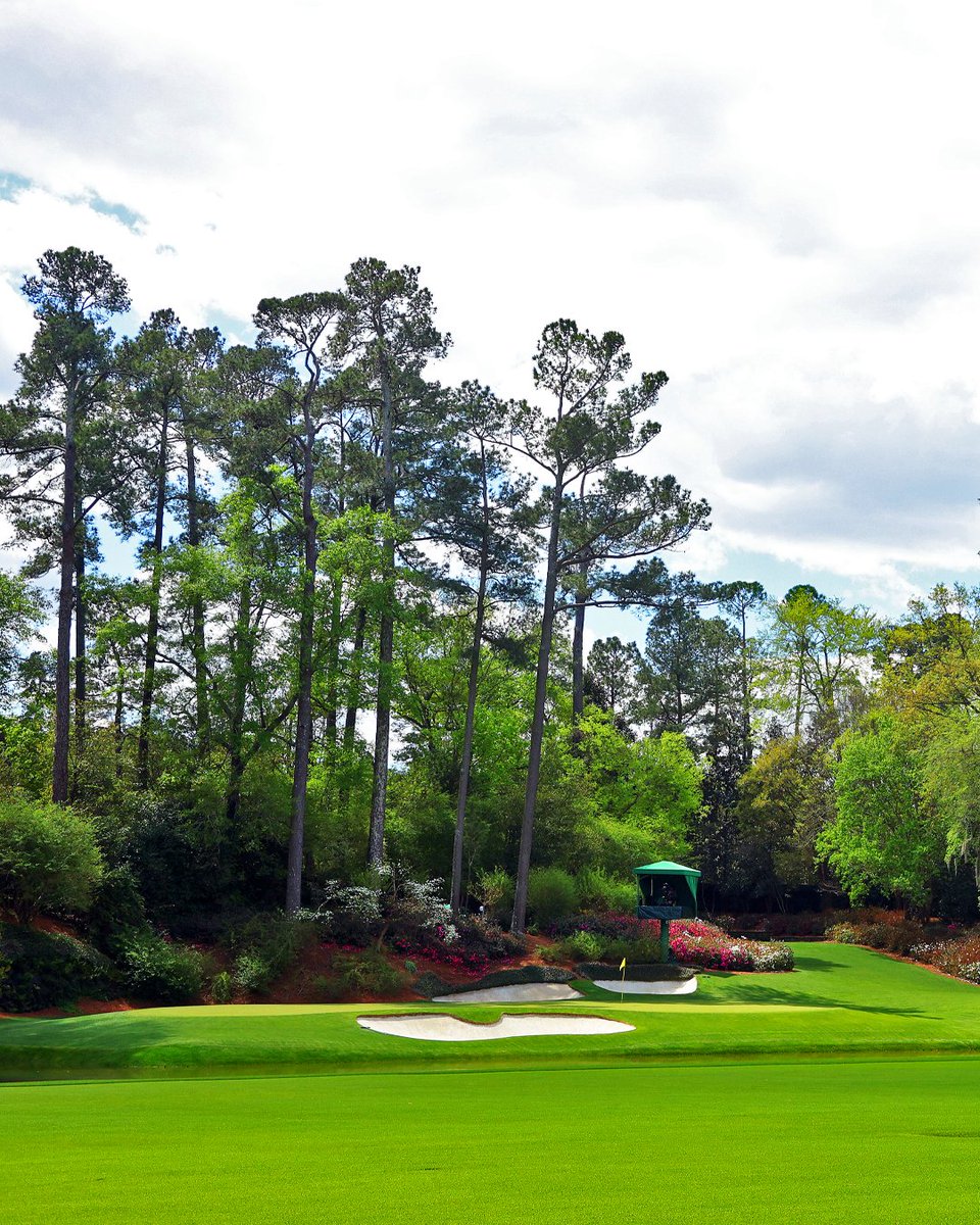 DP World Tour tweet media