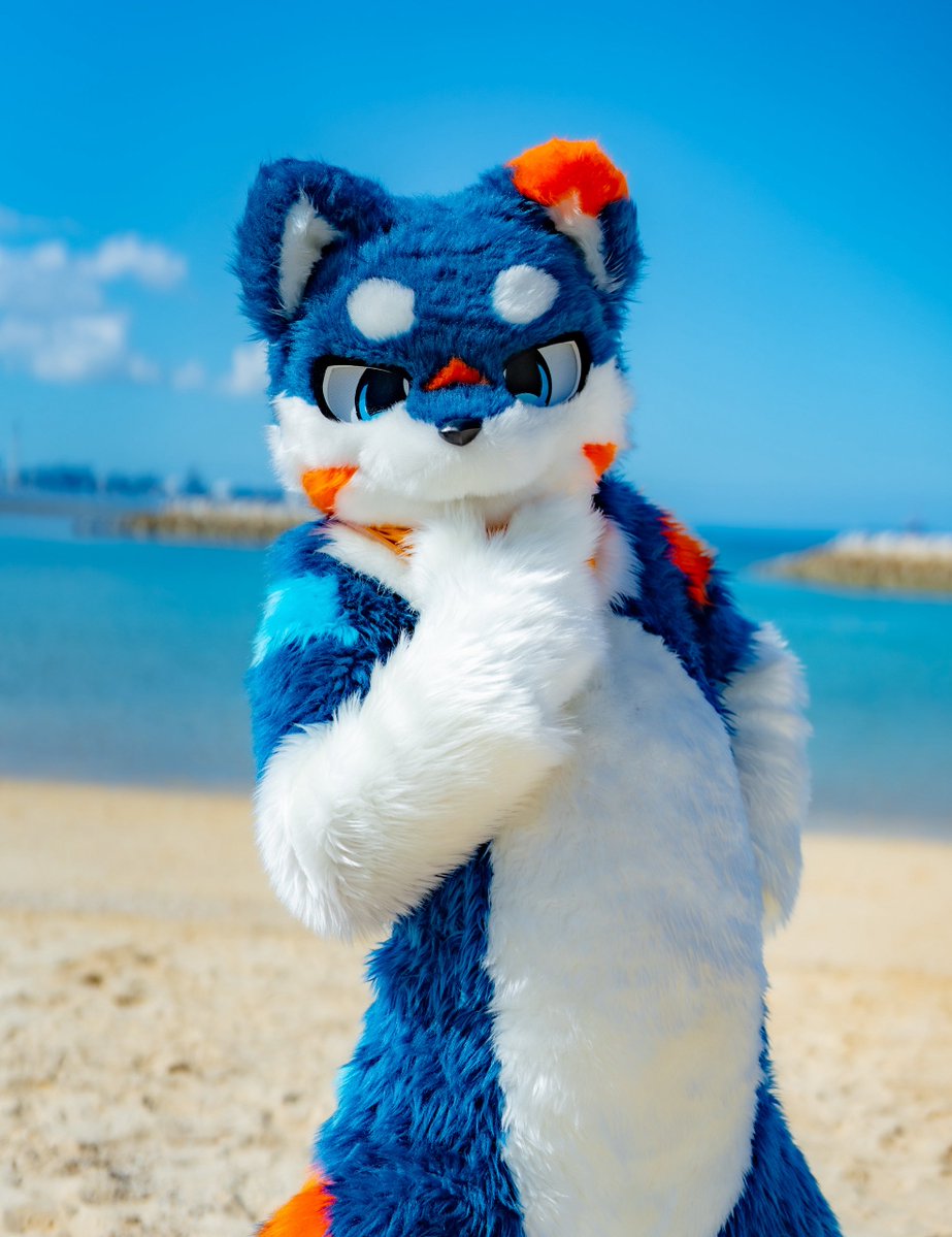 4月8日は柴犬の日！
そう！おれの日！！
#柴犬の日