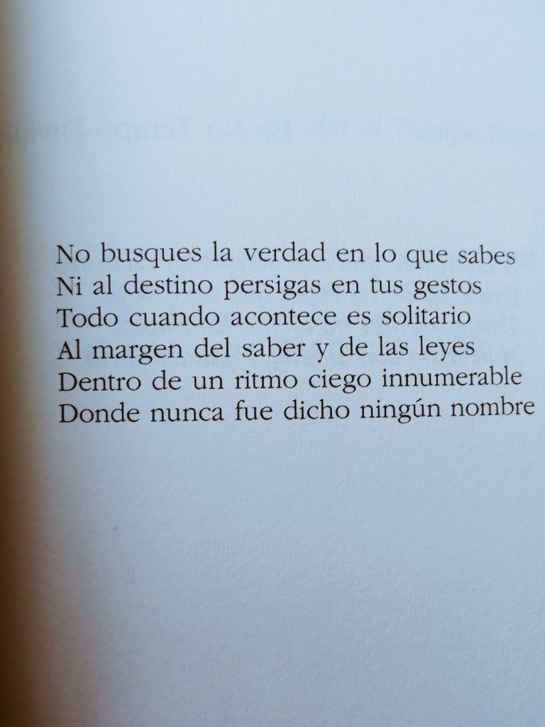 "No busques la verdad en lo que sabes"

Sophia de Mello Breyner Andresen
