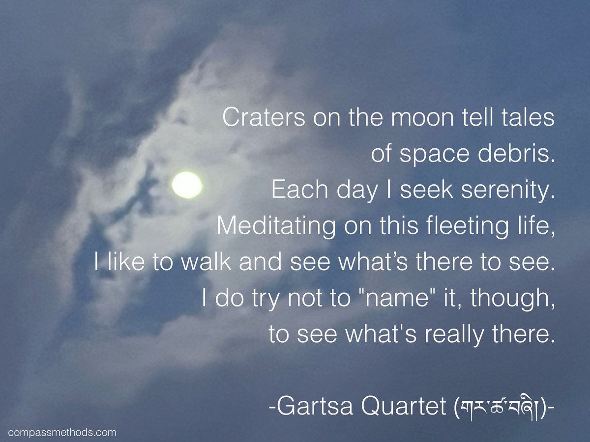 wilson_hurley's tweet image. Wisdom gives vision to compassion, compassmethods.com. youtube.com/@compassionsco… #vision