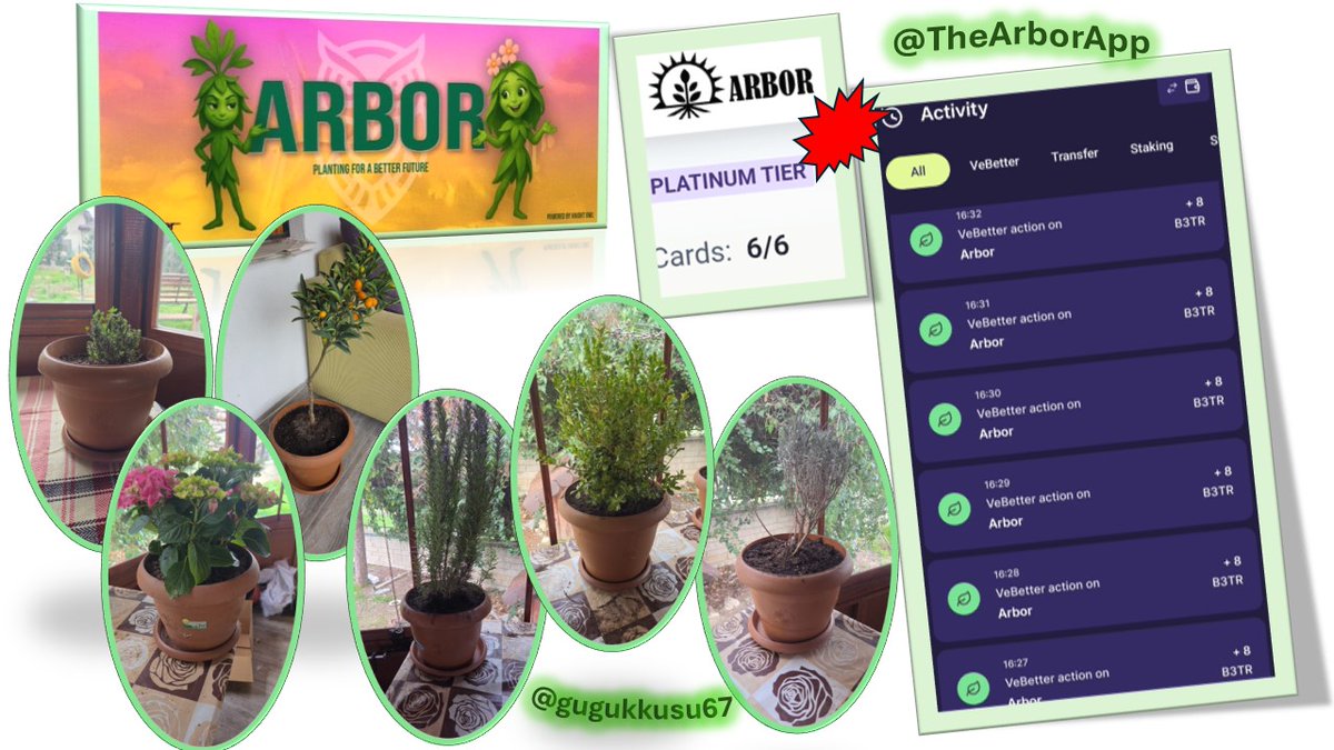 Hasan Yılmaz tweet media