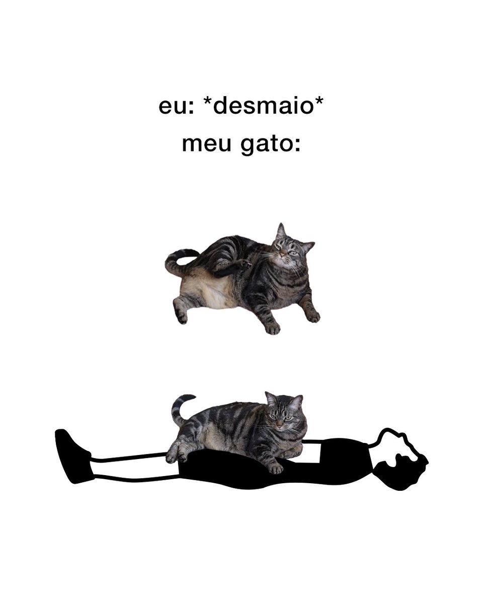 canseidesergato's tweet photo. https://t.co/OlbSG99ROl