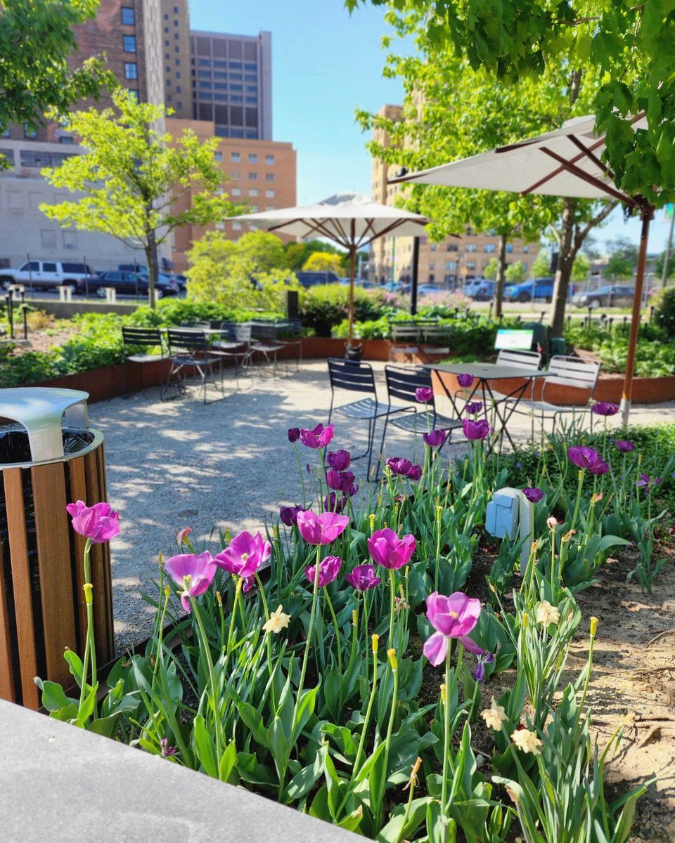 BeaconParkDetroit tweet media