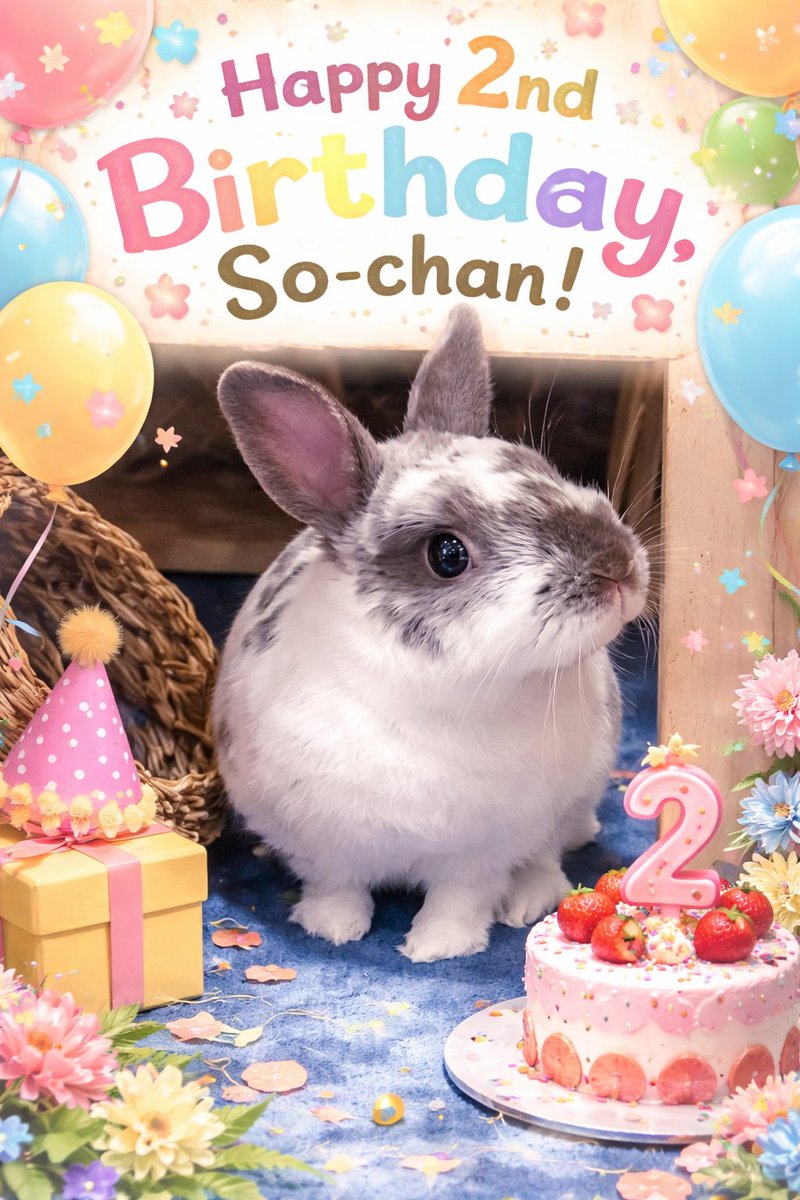 希帆🐇 tweet media