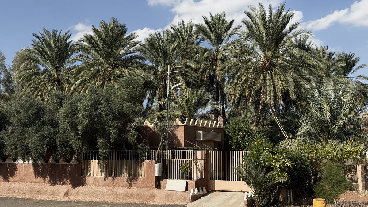 مِسك tweet media