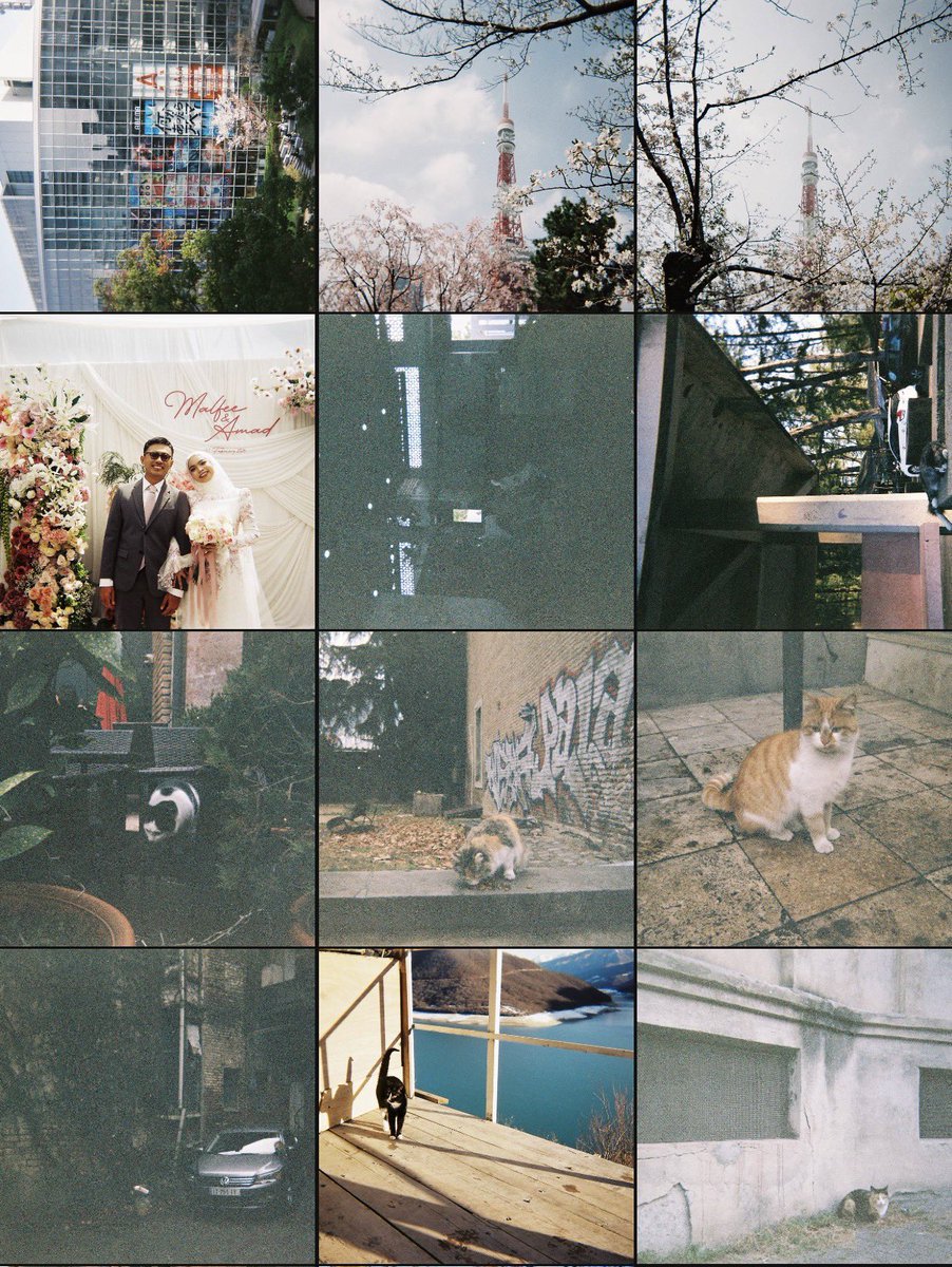 แกะน้อย 🌈 tweet media