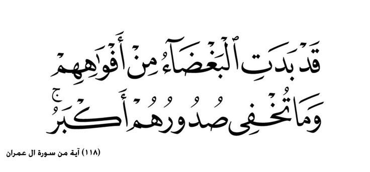 الحسام tweet media