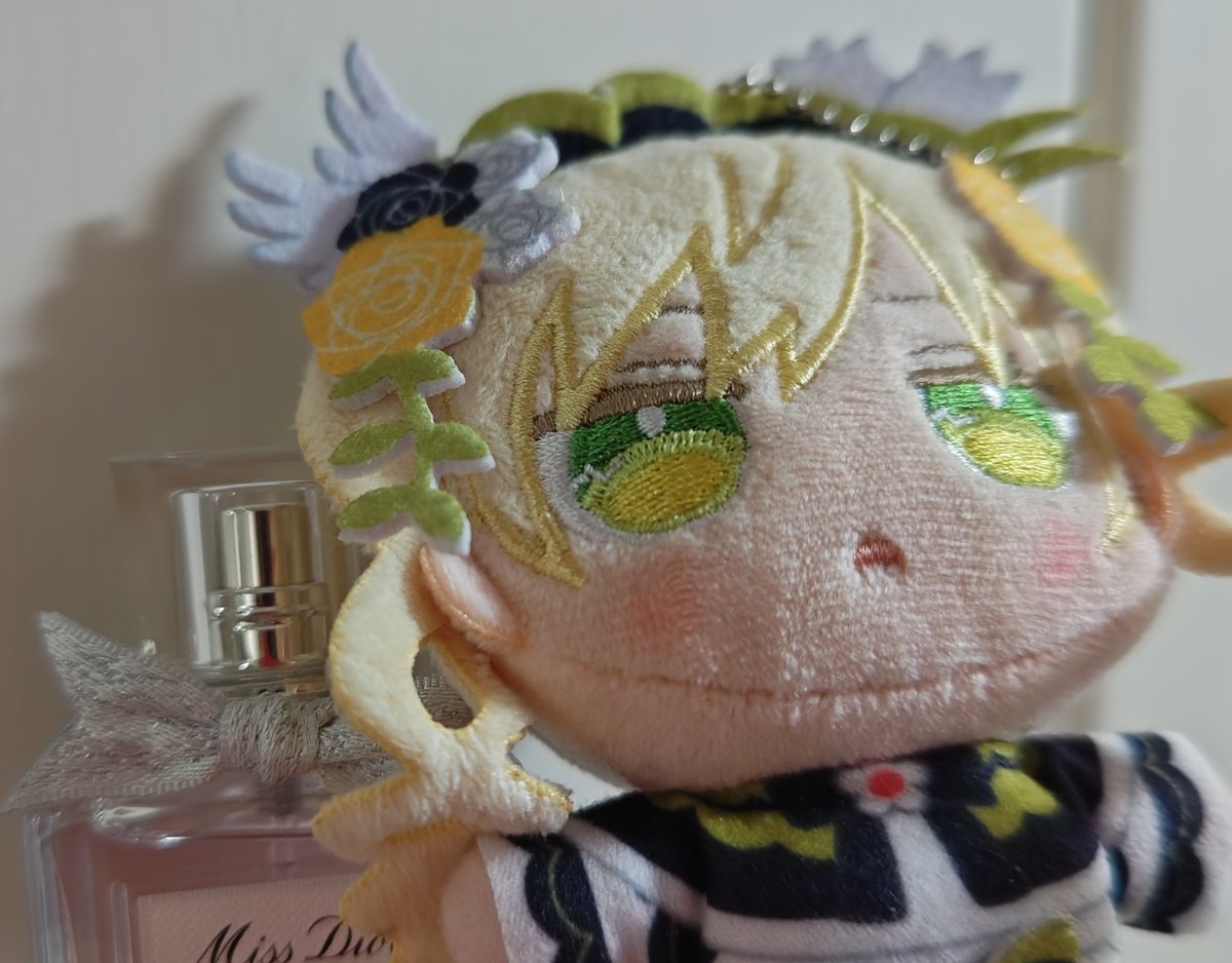 星留🚃まのさば旅する共犯者 tweet media