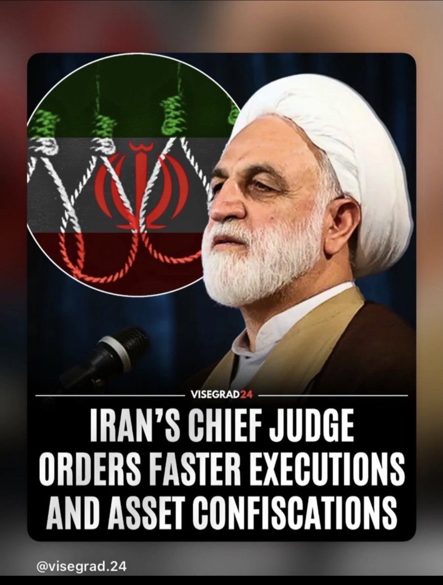 👑Fereshteh Gilaki tweet media