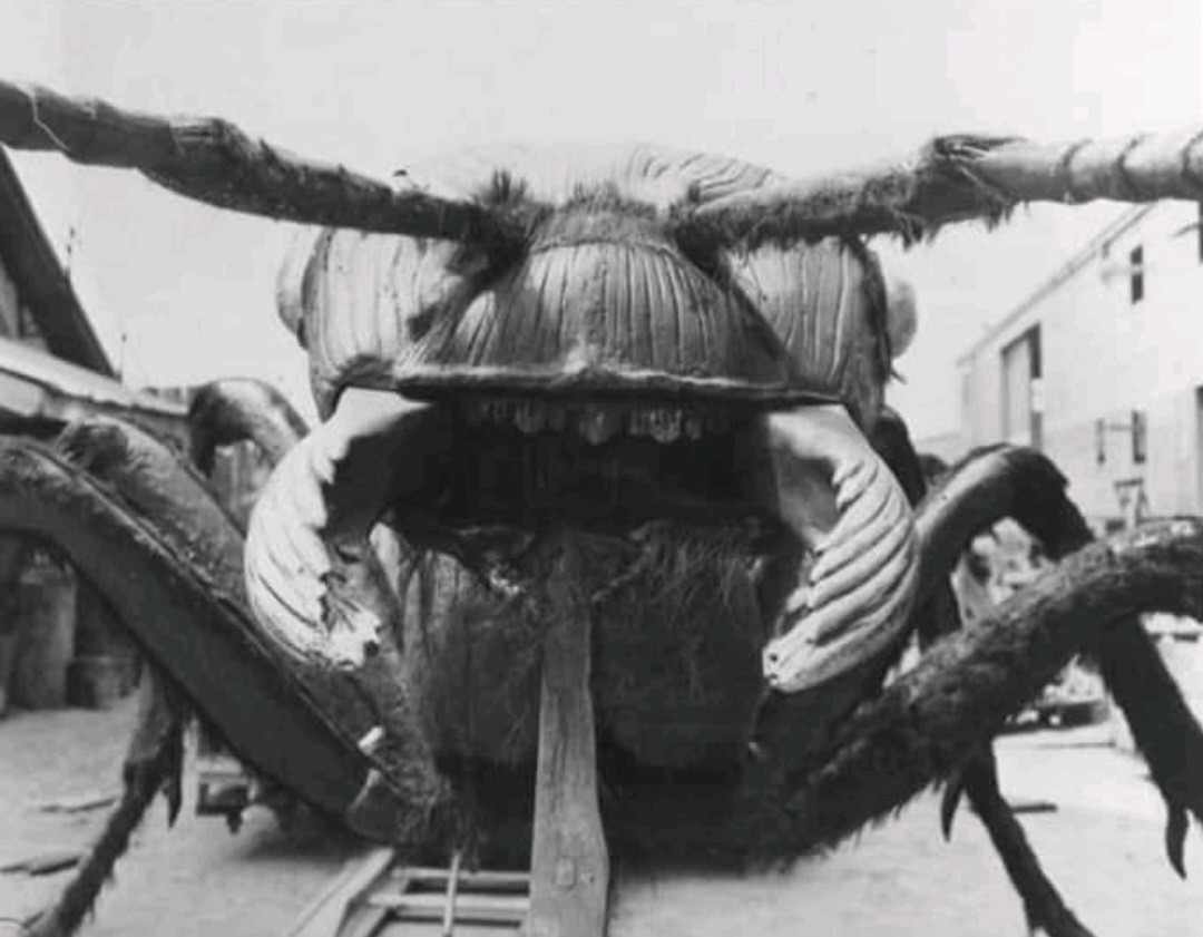 The Retro Reminiscer tweet media