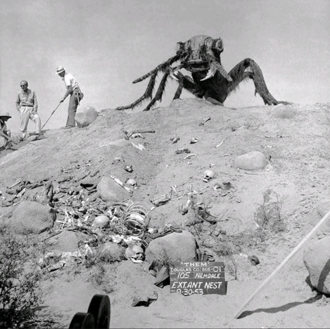 The Retro Reminiscer tweet media