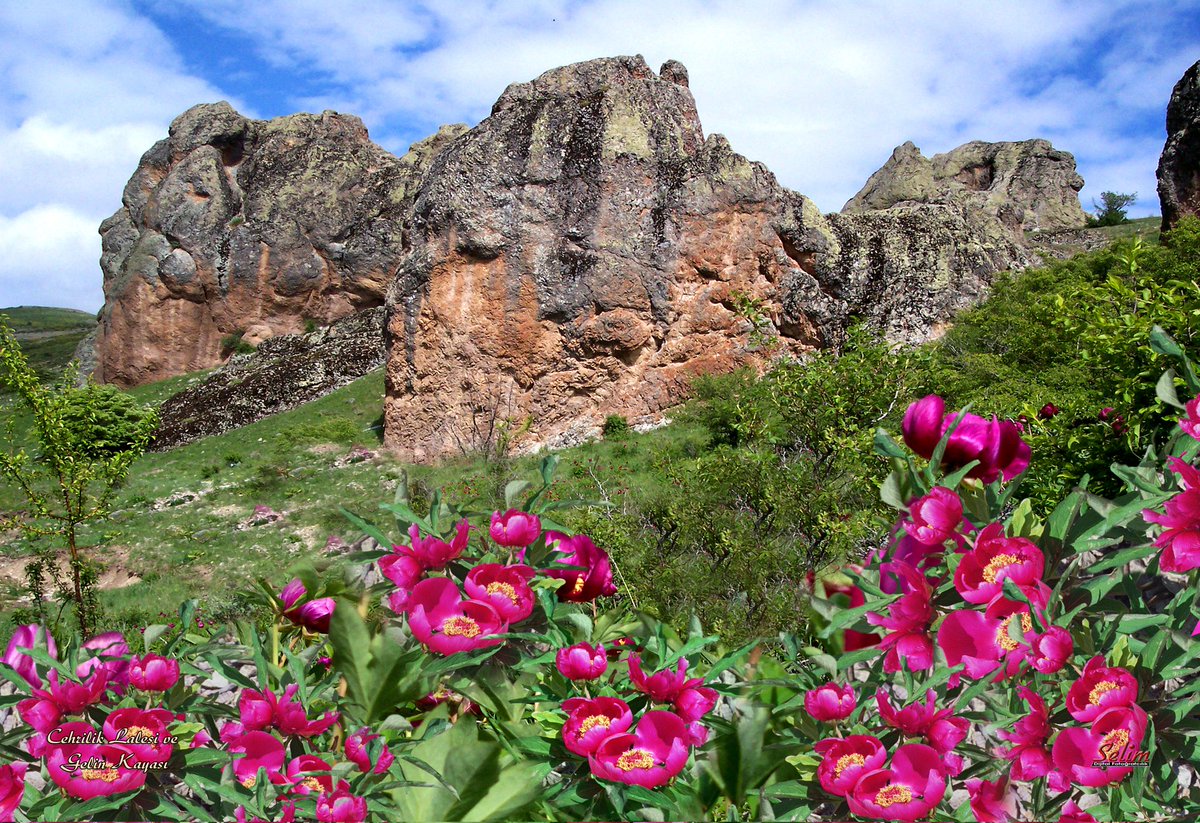 YozgatBozokYaylası tweet media