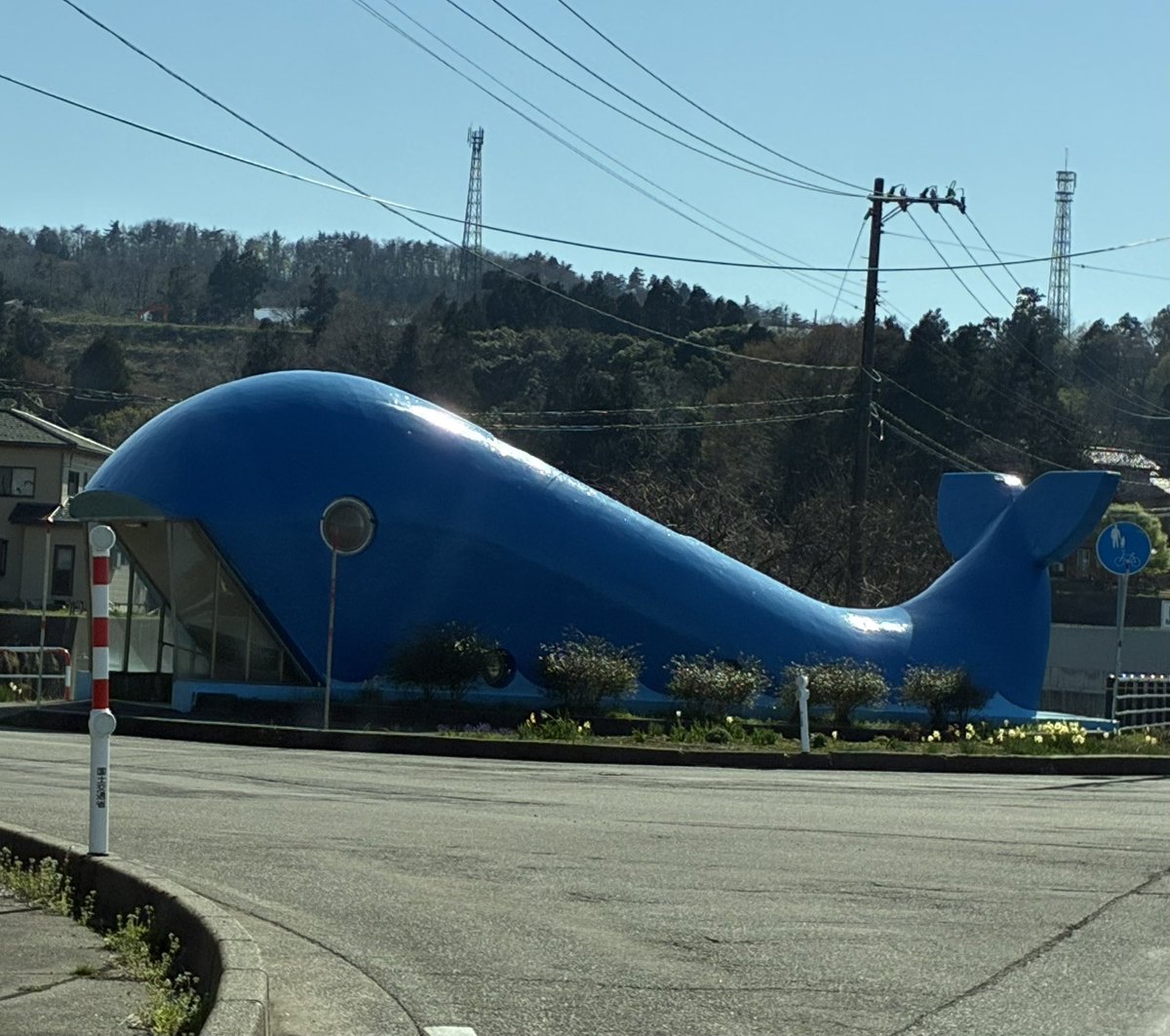 髙橋 真生 tweet media