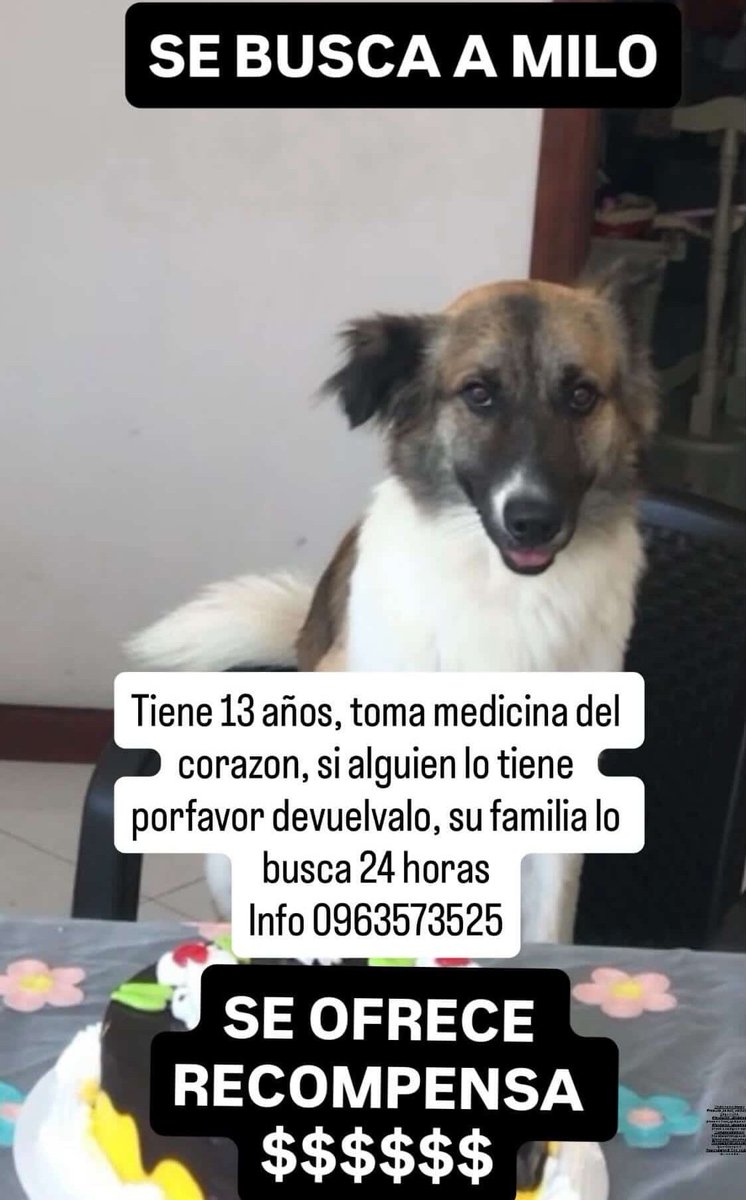 Alerta me perdi tweet media