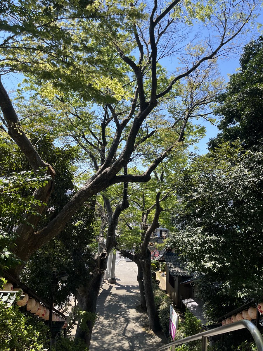 Satoshi@(株)ナカムラ研究所 tweet media