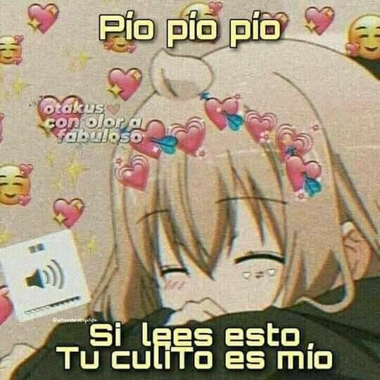 𝕸𝖆𝖌𝖎𝖆 𝕭𝖆𝖎𝖘𝖊𝖗 ➤𝕊𝕒𝕕𝕚𝕤𝕥𝕚𝕔 𝔾𝕚𝕣𝕝 tweet media