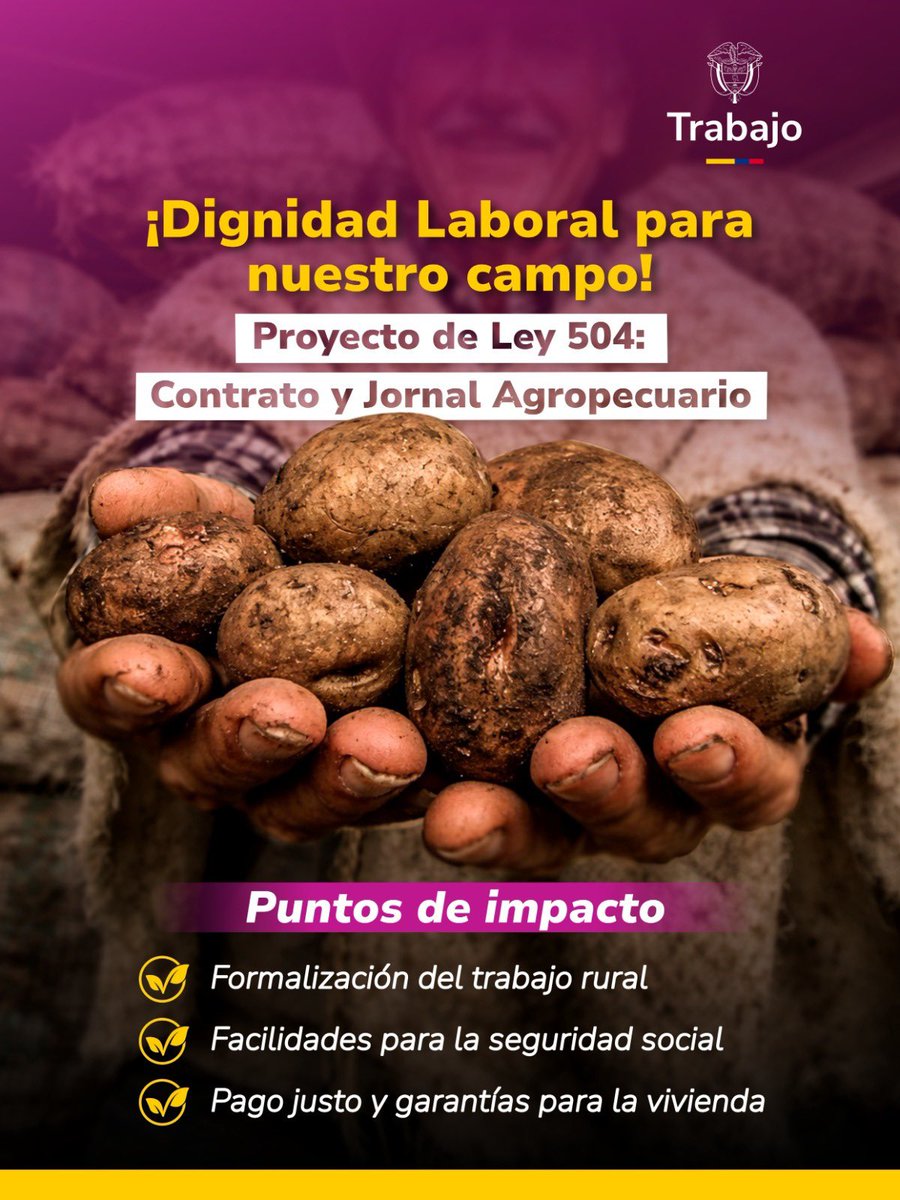 MinTrabajo tweet media