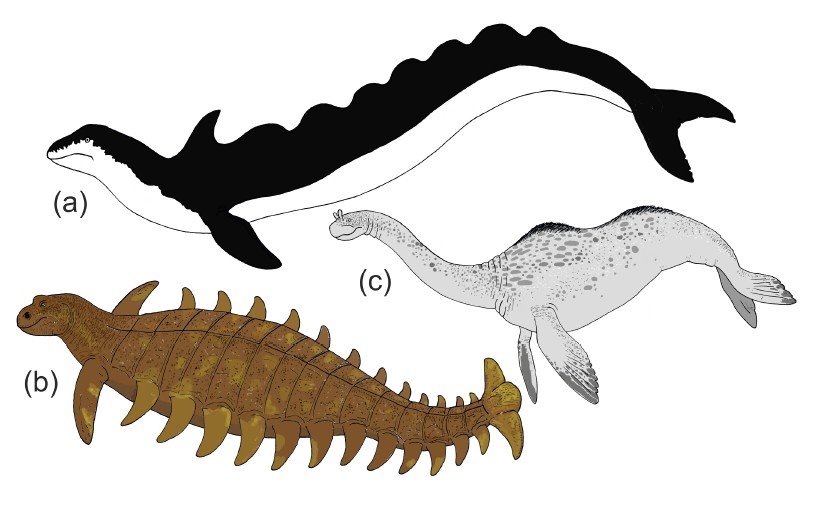 Darren Naish tweet media