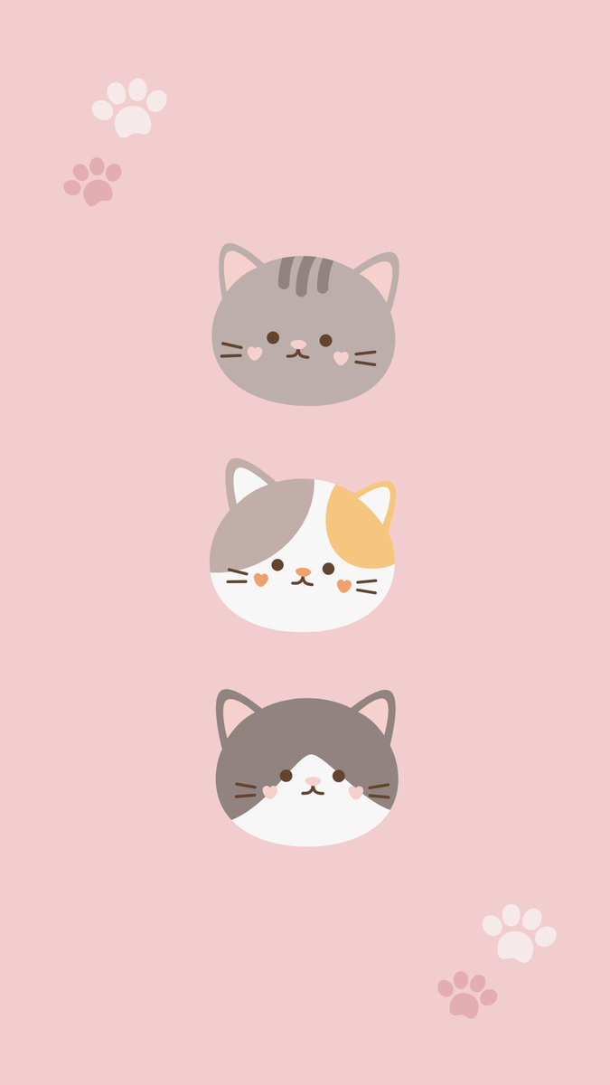 Cornell Feline Health Center tweet media