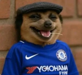 Engr Fabulous tweet media