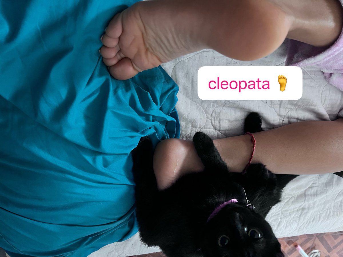 Cleopatanylon's tweet photo. Yo se que te gustaría en este momento ser mi gatita y estar abrazado de mis pies 😅
Repostea 🔁 y llevate una fotito 🙃♥️
#feet #soles  #wrinkles #toes #fetish https://t.co/H26Ks1g678