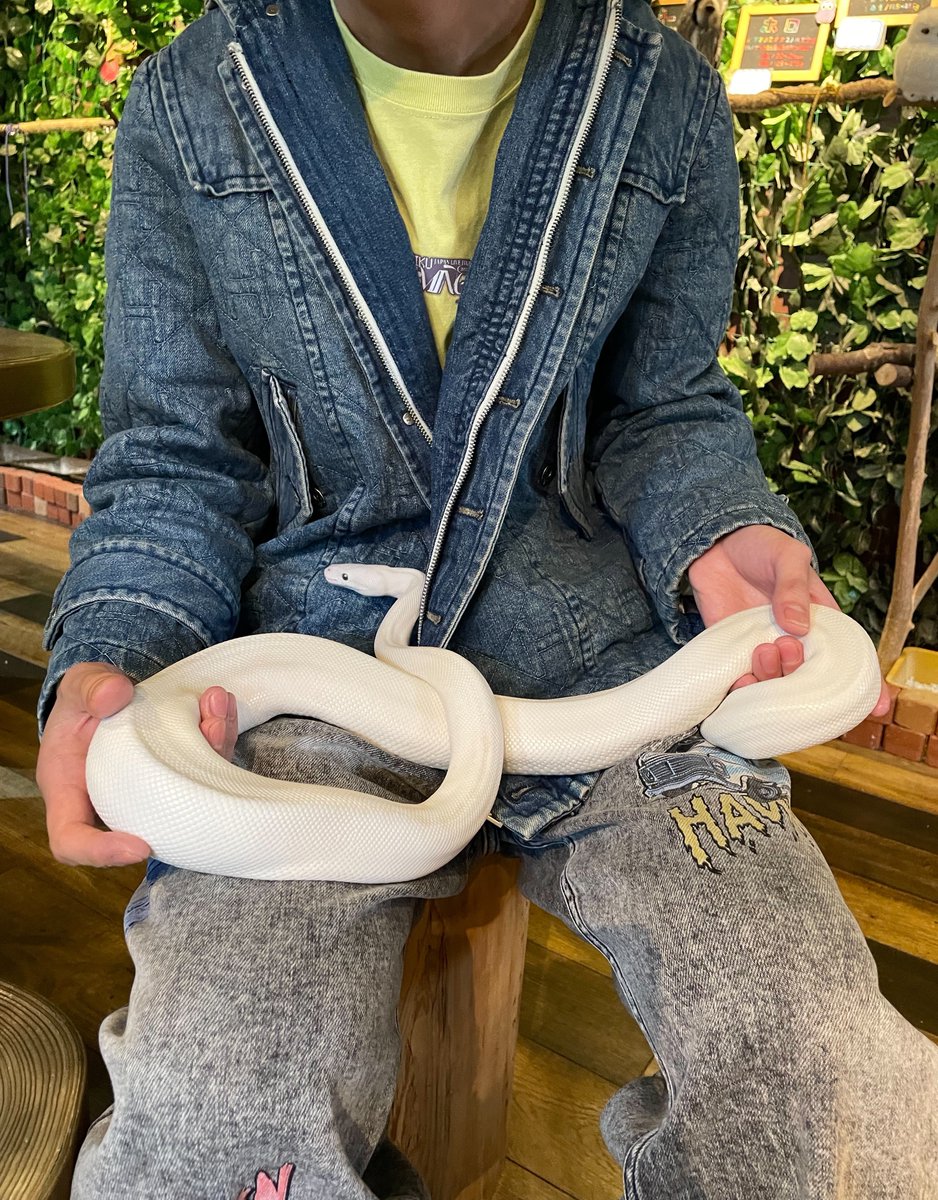 ryu_edition's tweet photo. あいみ、23歳のお誕生日おめでとう🎉
22歳のあいみとはなかなか会えてなかったけど、23歳のあいみとはもっと会えるように頑張るよ💪
どういうお祝いがいいかなって考えたけど、なかなか急にできることってなくて、、、本当に申し訳ない😭
最近の写真をおすそ分けするね。ALTも見てね。
@ozawa_aimi__ https://t.co/vWuZsGcLd5