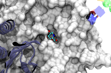 Istituto di Biofisica CNR (@BiofisicaCnr) / Posts / X