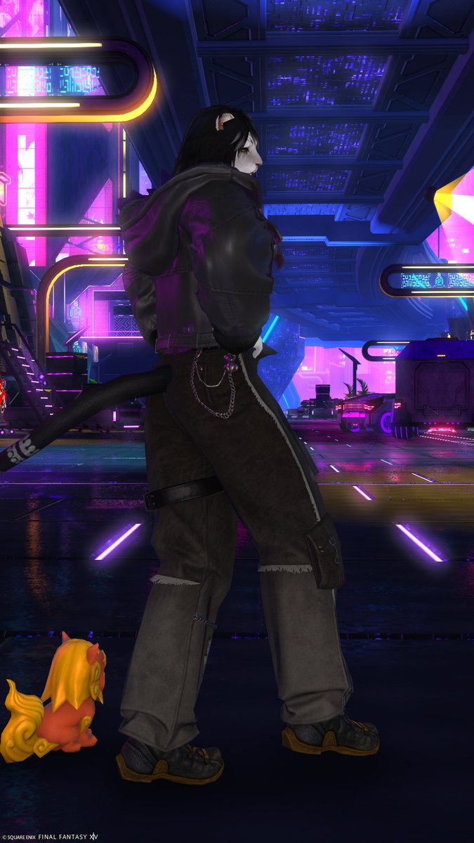 meitorupa's tweet photo. ＃FF14　＃メスガル
新エモート🐾 https://t.co/UgofcrhnWP