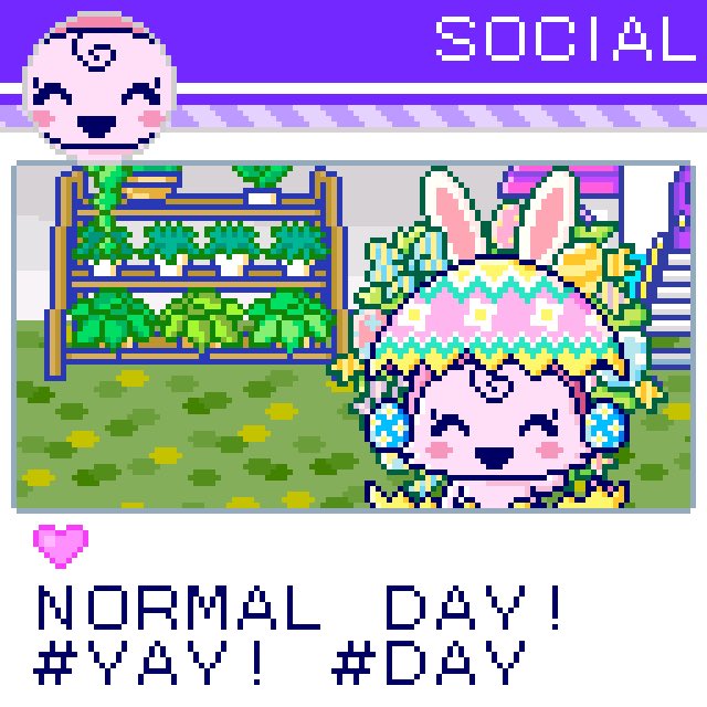 แกะน้อย 🌈 tweet media