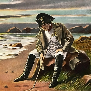 WaddleDoo tweet media