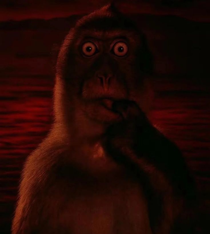 sevv🇹🇷 tweet media