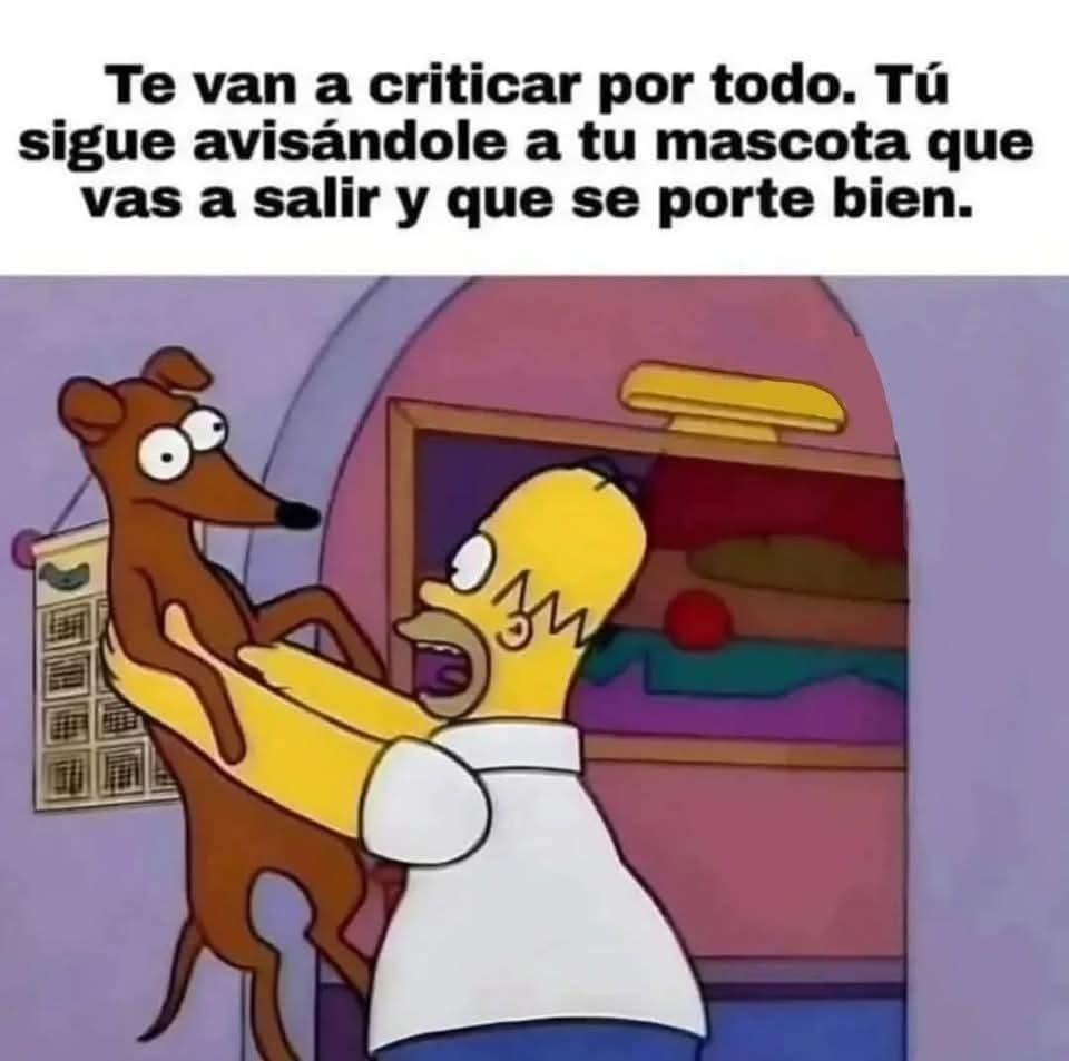 Guate Unida por los Animales tweet media